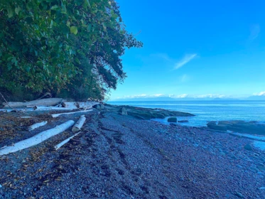 Breakfast Nook Photo of Lot 16 Dl 71 And 77, Galiano Island, BC