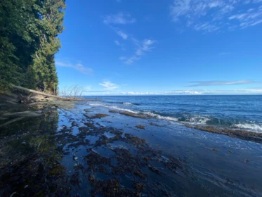 Guest Bathroom Photo of Lot 16 Dl 71 And 77, Galiano Island, BC