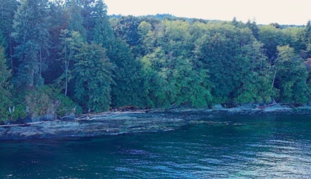 Swimming Pool Photo of Lot 16 Dl 71 And 77, Galiano Island, BC