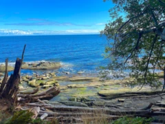 Lot 16 Dl 71 And 77, Galiano Island, BC
