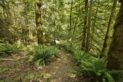 Hallway Photo of 5280 Bear Bay Road, Garden Bay, BC