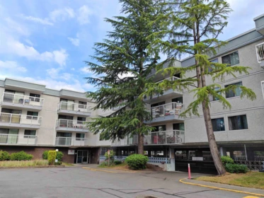 101 6420 Buswell Street, Richmond, BC, Richmond — Apartment/Condo for sale