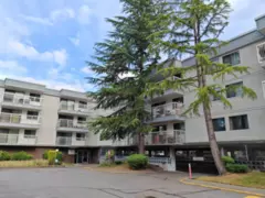 101 6420 Buswell Street, Richmond, BC