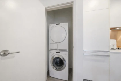 Laundry Room Photo of 306 1480 Howe Street, Vancouver, BC