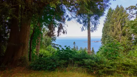 Exterior Rear Photo of 8127 Redrooffs Road, Halfmoon Bay, BC