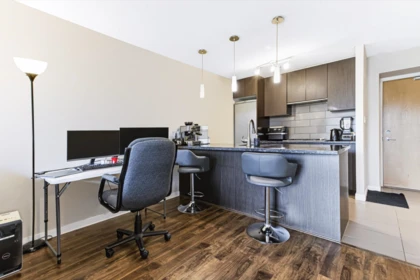 Kitchen Island Photo of 1006 2982 Burlington Drive, Coquitlam, BC