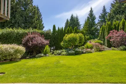Family Room Photo of 2802 Pilot Drive, Coquitlam, BC