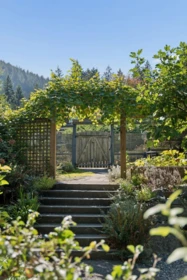 Swimming Pool Photo of 965 Village Drive, Bowen Island, BC