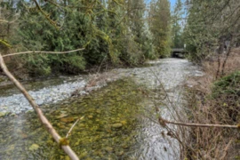 13292 232 Street, Maple Ridge, BC