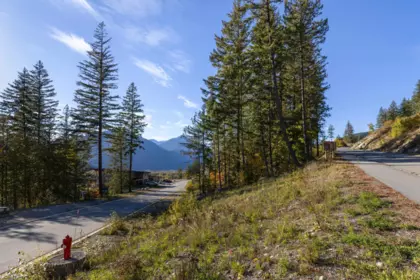 8203 Merlot Peak Drive, Pemberton, BC, Pemberton — Land for sale