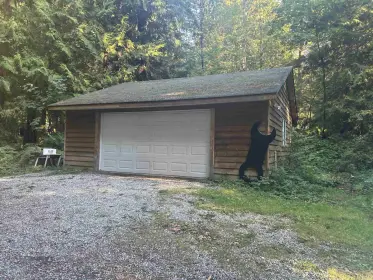 1079 Orange Road, Roberts Creek, BC, Roberts creek — Single Family Residence for sale