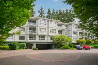 209 9018 208 Street, Langley, BC, Langley — Apartment/Condo for sale