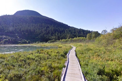 Staircase Photo of 114 1490 Highway 99 Highway, Pemberton, BC