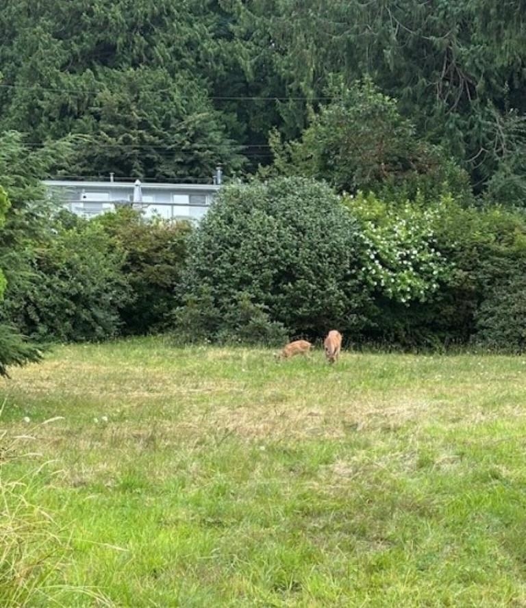 Living Room Photo of 6025 Coracle Place, Sechelt, BC