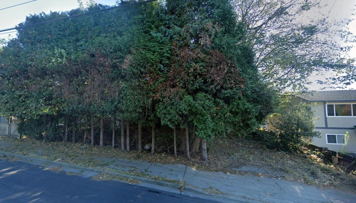 Exterior Rear Photo of 15132 88 Avenue, Surrey, BC