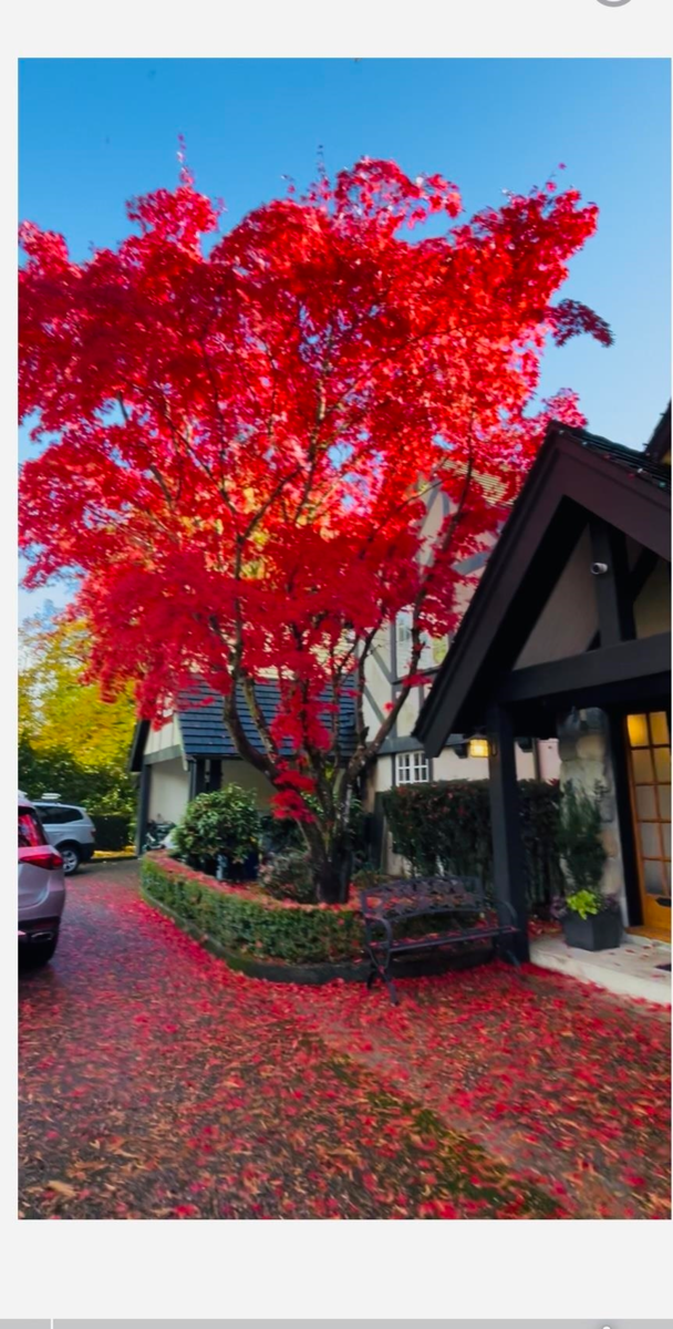 Street View Photo of 1850 Mathers Avenue, West Vancouver, BC