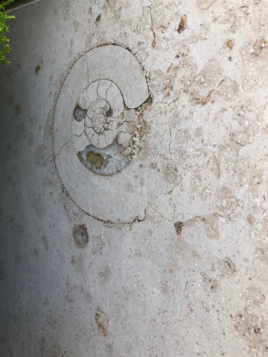 Garage Interior Photo of 410 Beach Crescent, Vancouver, BC