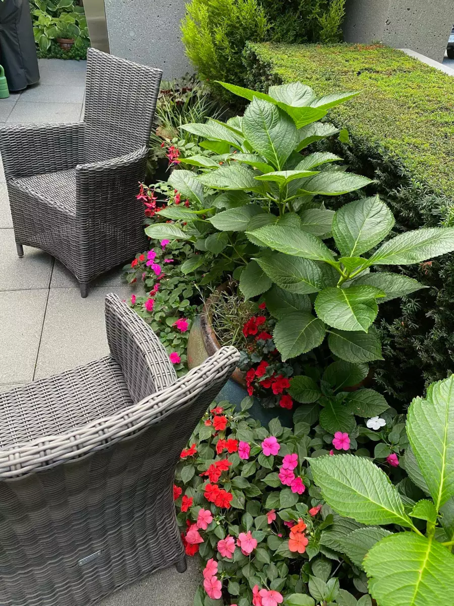 Outdoor Kitchen Photo of 410 Beach Crescent, Vancouver, BC