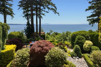 Garden / Landscaping Photo of 13464 13a Avenue, Surrey, BC