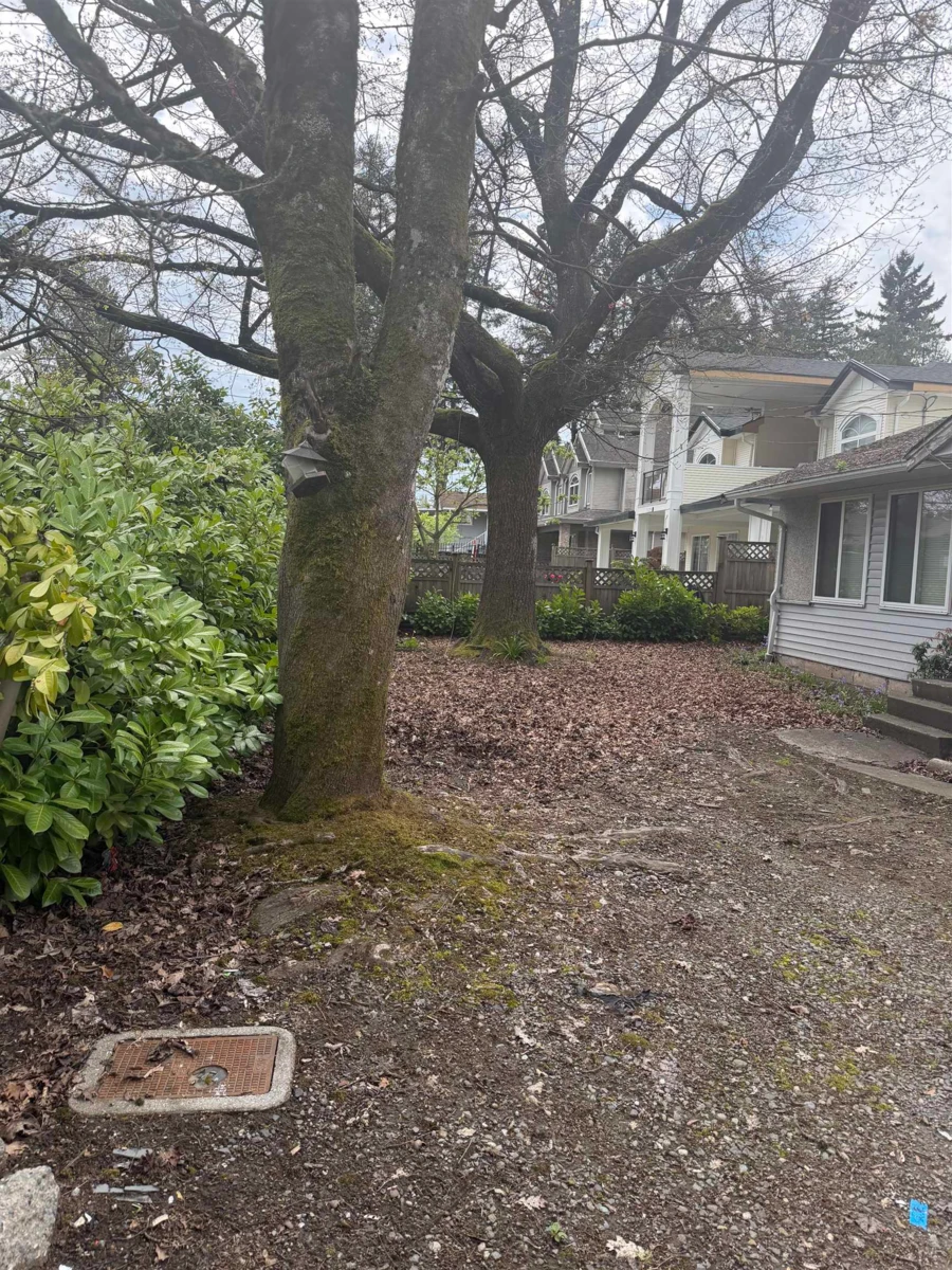 Exterior Rear Photo of 10269 132 Street, Surrey, BC