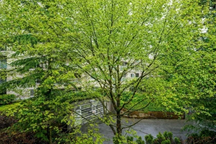 Front Yard Photo of 308 15188 29a Avenue, Surrey, BC