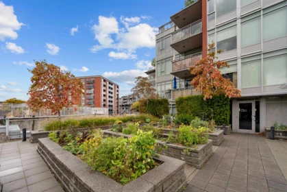 Backyard Photo of 2389 Scotia Street, Vancouver, BC