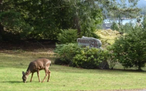 7 4622 Sinclair Bay Road, Pender Harbour, BC