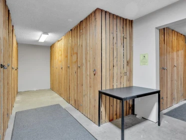 Basement Recreation Room Photo of 303 1234 Pendrell Street, Vancouver, BC
