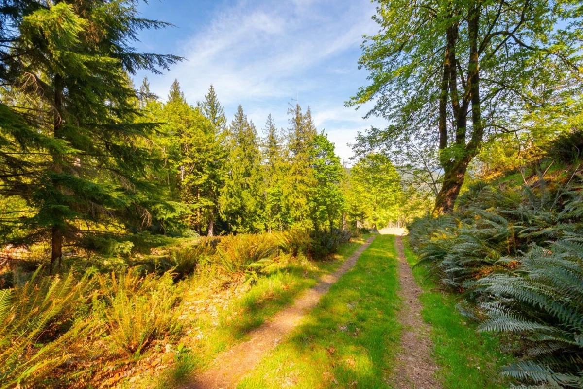 Family Room Photo of LOT B Hiker's Trail, Bowen Island, BC
