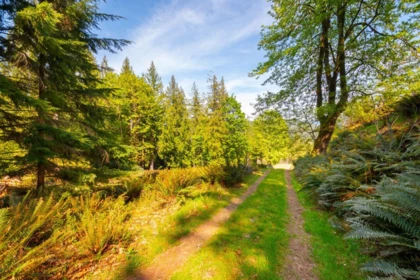 Family Room Photo of LOT B Hiker's Trail, Bowen Island, BC