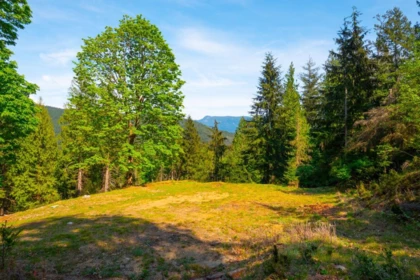Pantry Photo of LOT B Hiker's Trail, Bowen Island, BC