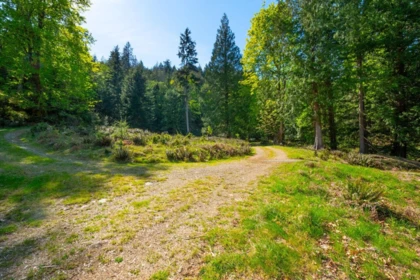 Primary Bedroom Photo of LOT B Hiker's Trail, Bowen Island, BC