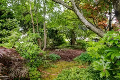 Neighborhood Park Photo Near 1392 Charland Avenue, Coquitlam, BC