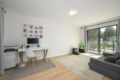 Aerial View of 605 Allison Place, New Westminster, BC