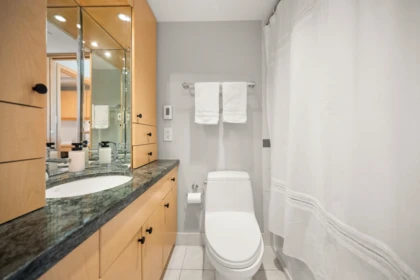 Laundry Room Photo of 601 1575 Beach Avenue, Vancouver, BC