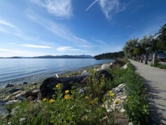 105 5160 Davis Bay Road, Sechelt, BC