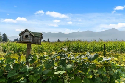 46702 Arbutus Avenue, Chilliwack, BC, Chilliwack — Single Family Residence for sale