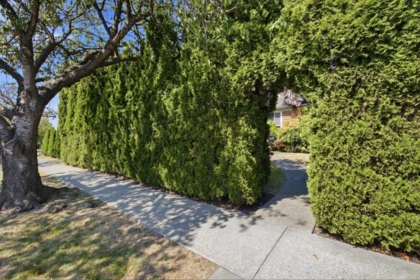 Neighborhood Park Photo Near 55 W King Edward Avenue, Vancouver, BC