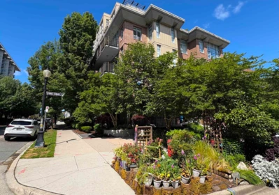 Outdoor Patio Photo of 357 E 11th Avenue, Vancouver, BC