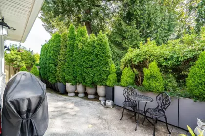 Swimming Pool Photo of 55 3355 Morgan Creek Way, Surrey, BC