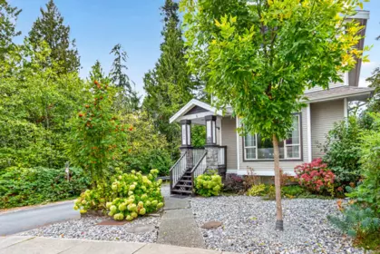 Living Room Photo of 22799 116 Avenue, Maple Ridge, BC