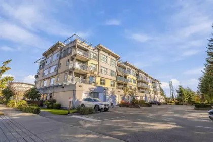 Garden / Landscaping Photo of 204 7445 120 Street, Delta, BC