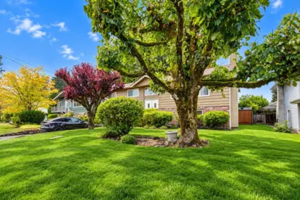 Living Room Photo of 1605 Cornell Avenue, Coquitlam, BC