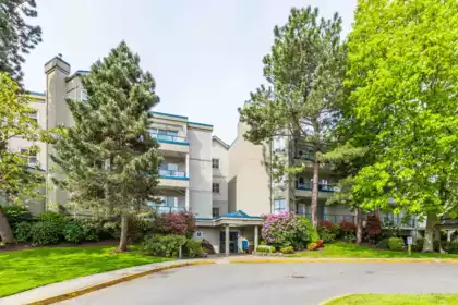 202 4753 W River Road, Ladner, BC, Ladner — Apartment/Condo for sale