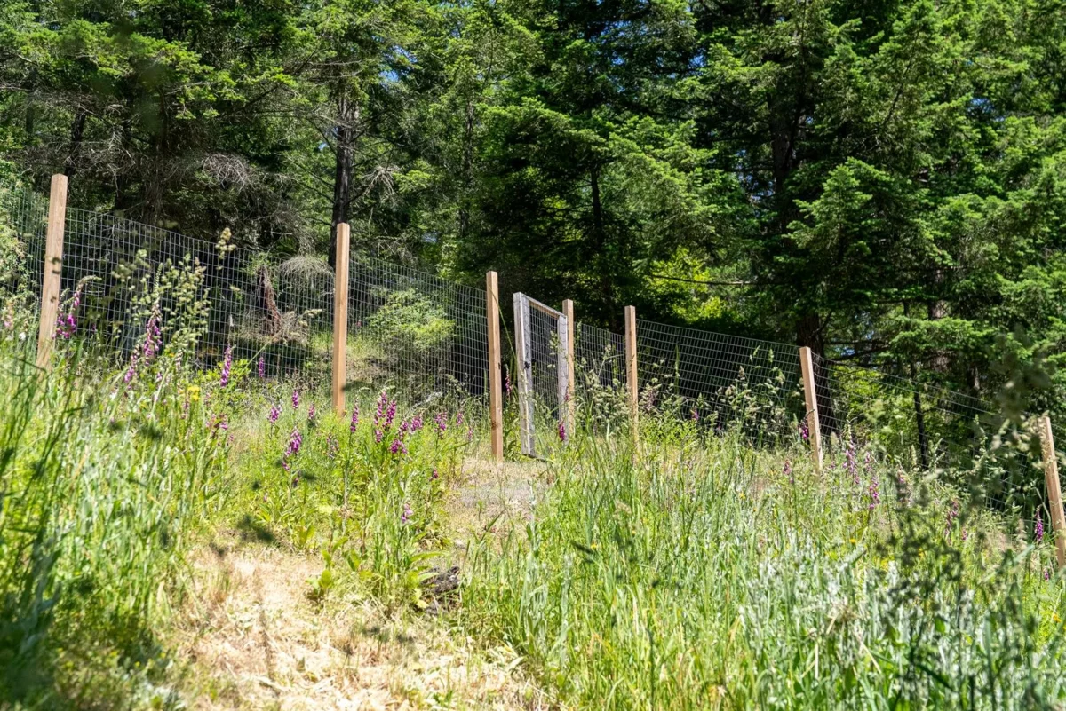 Neighborhood Park Photo Near 9907 Gowlland Point Road, Pender Island, BC