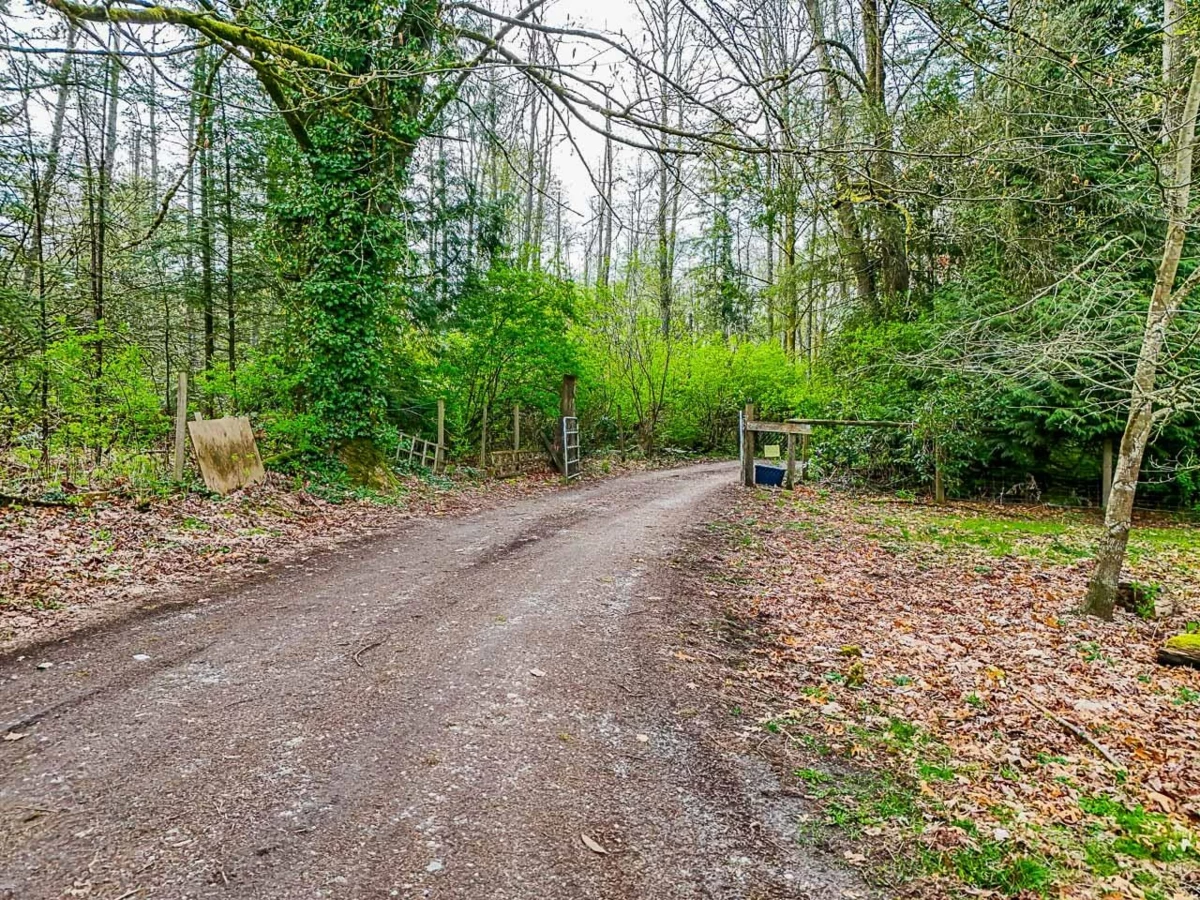 Front Yard Photo of 18495 Avenue, Surrey, BC