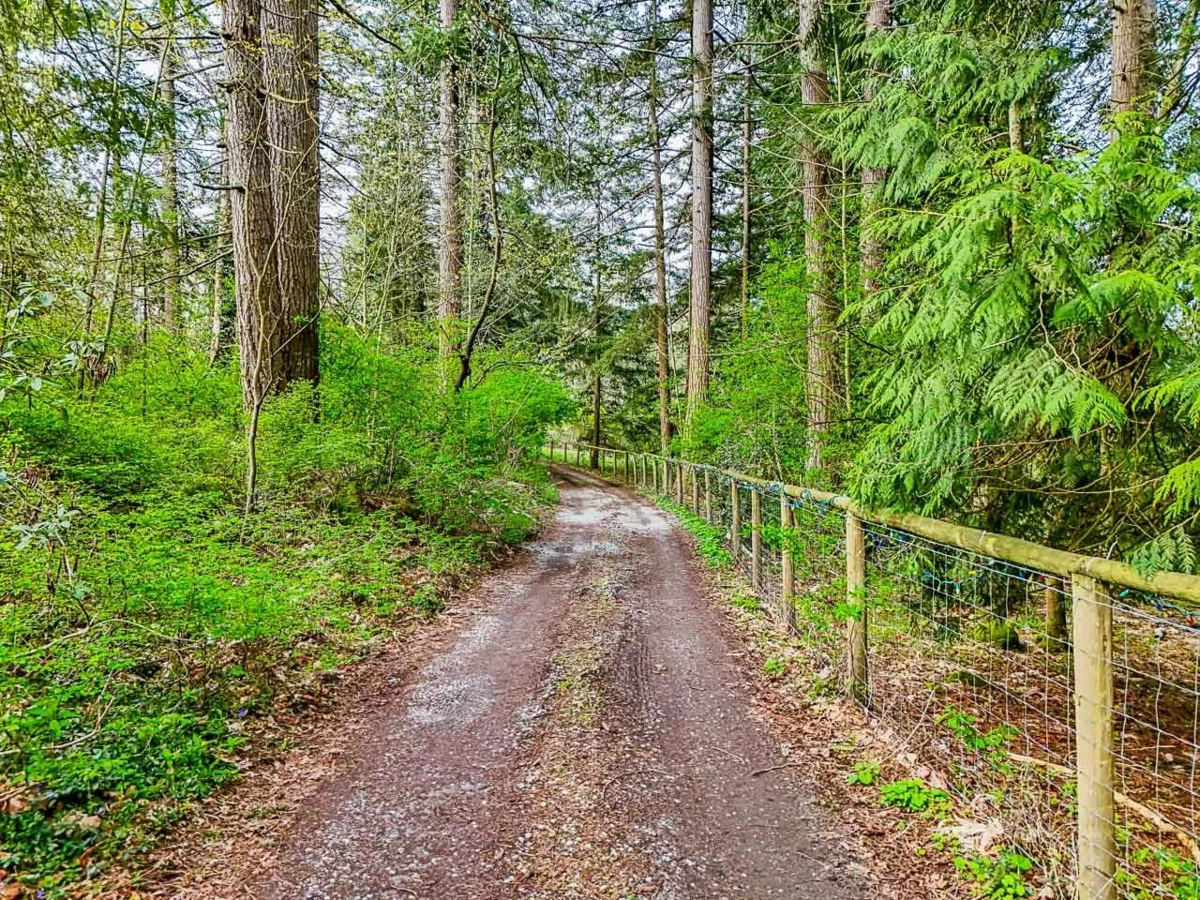 Garden / Landscaping Photo of 18495 Avenue, Surrey, BC
