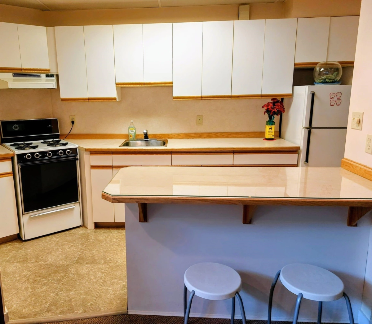 Garage Interior Photo of 1207 Durant Drive, Coquitlam, BC