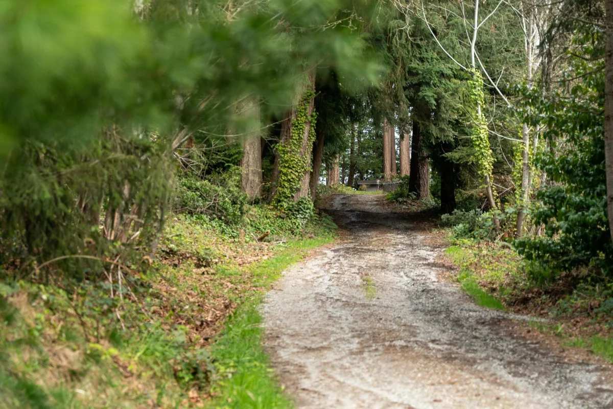Living Room Photo of 5080 Sunshine Coast Highway, Sechelt, BC