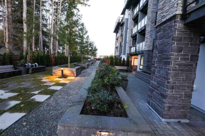 Primary Bedroom Photo of 515 15351 101 Avenue, Surrey, BC
